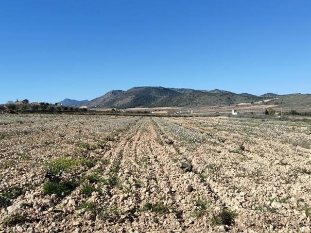 Finca/Casa Rural en venta en Cañada de la Lena, Murcia