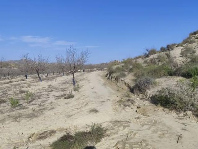 Finca/Casa Rural en venta en Cañada de San Pedro, Murcia