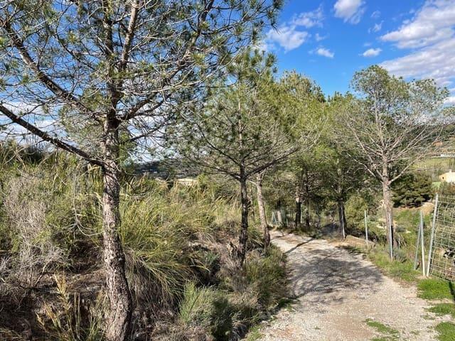 Finca/Casa Rural en venta en Cehegín, Murcia