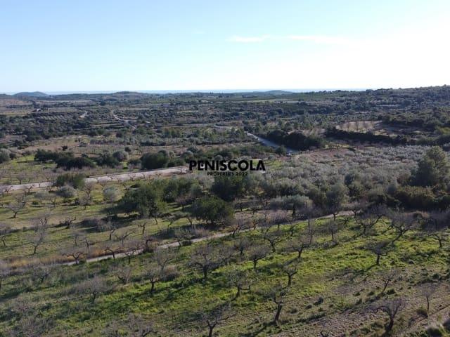 Finca/Casa Rural en venta en Cervera del Maestre / Cervera del Maestrat, Castellón