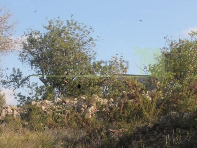 Finca/Casa Rural en venta en Cervera del Maestre / Cervera del Maestrat, Castellón
