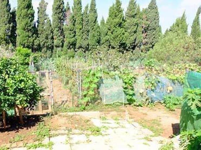 Finca/Casa Rural en venta en Chiclana de la Frontera, Cádiz Costa de la Luz