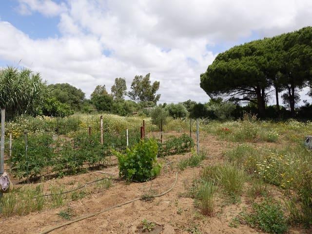 Finca/Casa Rural en venta en Chiclana de la Frontera, Cádiz Costa de la Luz