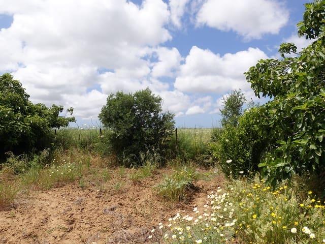 Finca/Casa Rural en venta en Chiclana de la Frontera, Cádiz Costa de la Luz