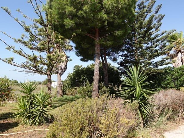 Finca/Casa Rural en venta en Chiclana de la Frontera, Cádiz Costa de la Luz