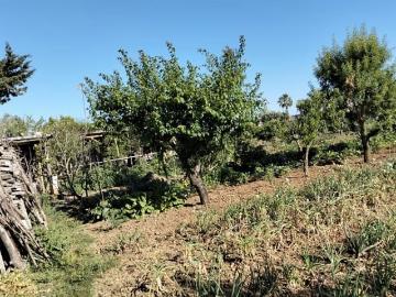 Finca/Casa Rural en venta en Chiclana de la Frontera, Cádiz Costa de la Luz