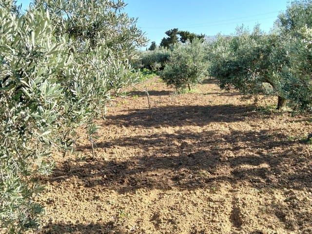 Finca/Casa Rural en venta en Chiclana de la Frontera, Cádiz Costa de la Luz