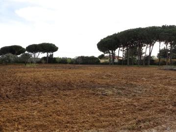 Finca/Casa Rural en venta en Chiclana de la Frontera, Cádiz Costa de la Luz