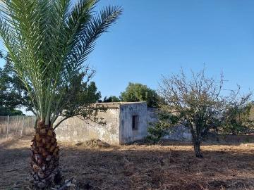 Finca/Casa Rural en venta en Chiclana de la Frontera, Cádiz Costa de la Luz