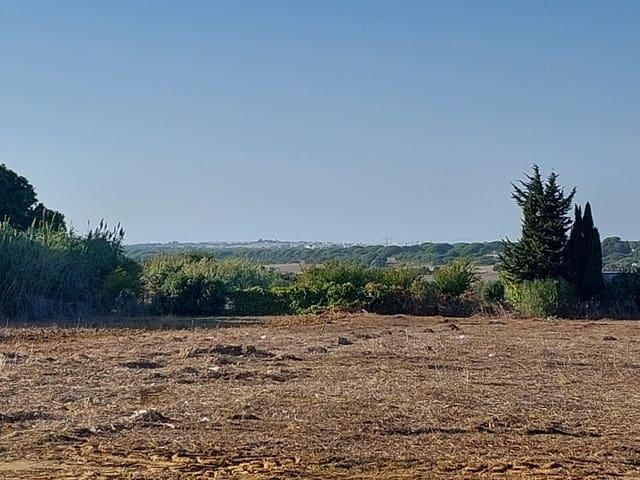 Finca/Casa Rural en venta en Chiclana de la Frontera, Cádiz Costa de la Luz