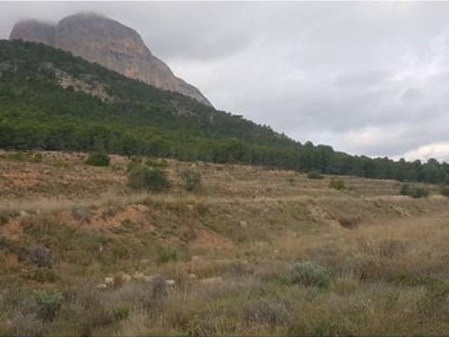 Finca/Casa Rural en venta en Chirles, Alicante Costa Blanca