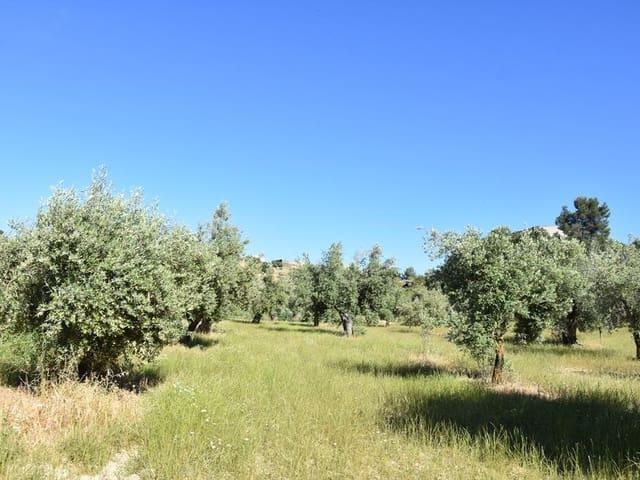 Finca/Casa Rural en venta en Cretas, Teruel