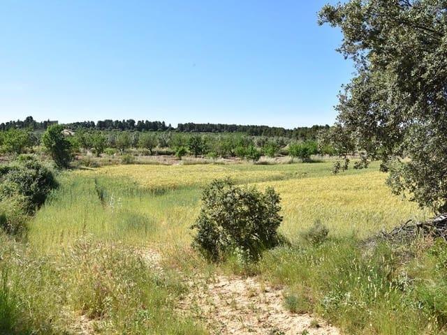 Finca/Casa Rural en venta en Cretas, Teruel