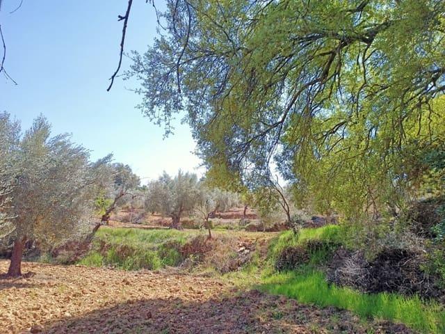 Finca/Casa Rural en venta en Cretas, Teruel