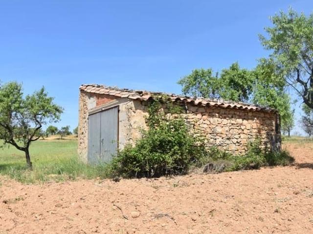 Finca/Casa Rural en venta en Cretas, Teruel