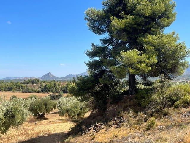 Finca/Casa Rural en venta en Cretas, Teruel