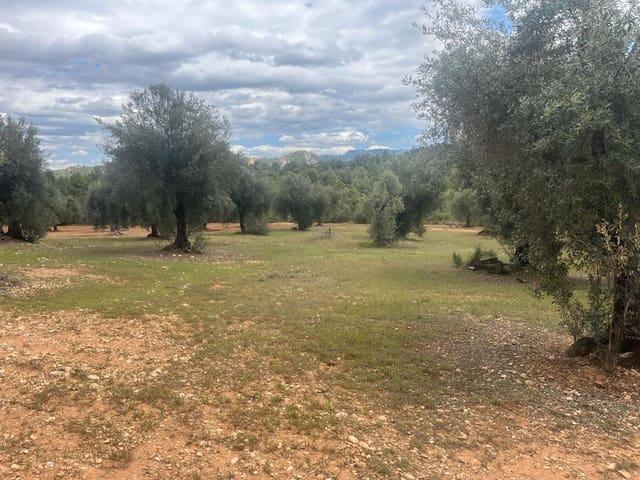 Finca/Casa Rural en venta en Cretas, Teruel