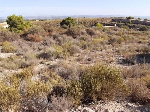 Finca/Casa Rural en venta en Crevillente / Crevillent, Alicante