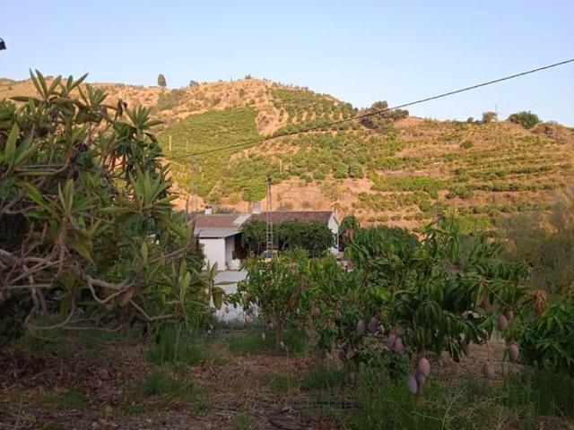Finca/Casa Rural en venta en Cútar, Málaga