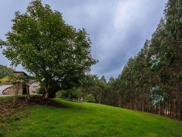 Finca/Casa Rural en venta en A Pontenova, Lugo