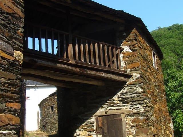 Finca/Casa Rural en venta en A Pobra de Brollón, Lugo