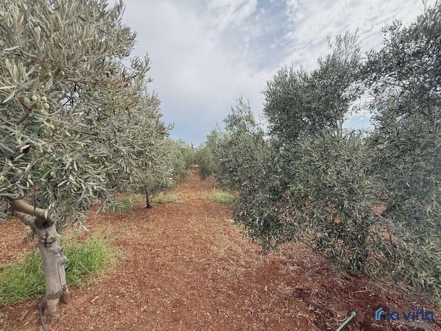 Finca/Casa Rural en venta en Antequera, Málaga
