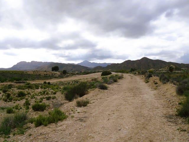 Finca/Casa Rural en venta en Mahoya, Murcia