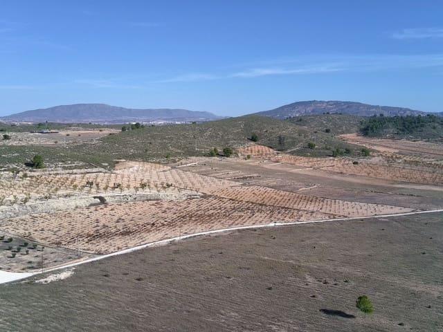 Finca/Casa Rural en venta en Abanilla, Murcia