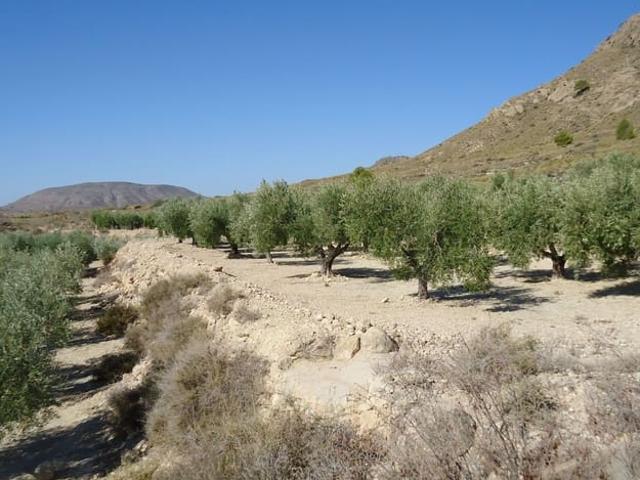 Finca/Casa Rural en venta en Abanilla, Murcia