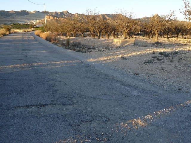 Finca/Casa Rural en venta en Abanilla, Murcia