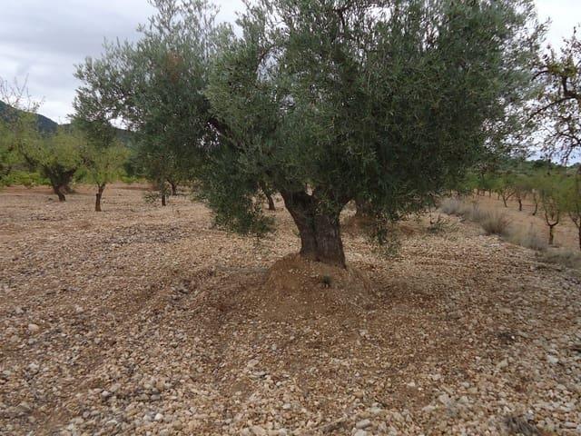 Finca/Casa Rural en venta en Abanilla, Murcia