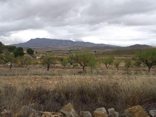 Finca/Casa Rural en venta en Abanilla, Murcia