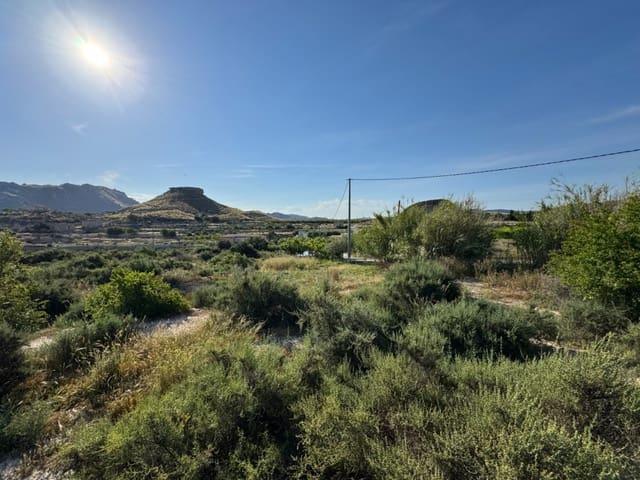 Finca/Casa Rural en venta en Abarán, Murcia