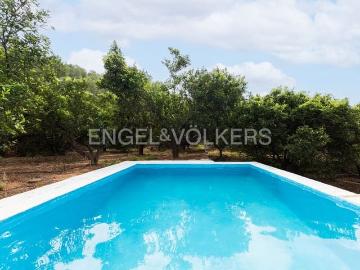 Finca/Casa Rural en venta en Alzira, Valencia