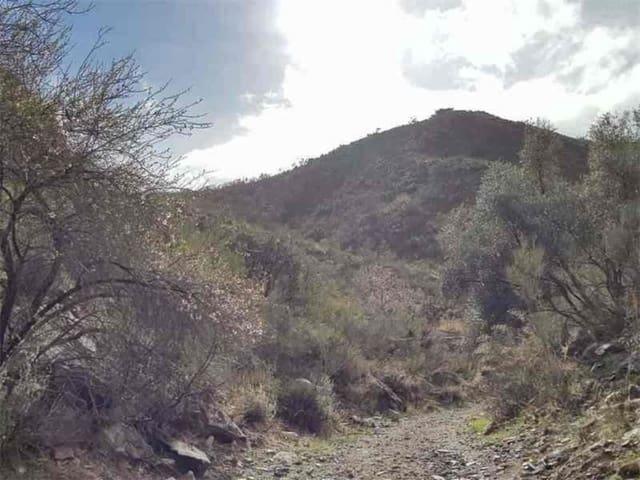 Finca/Casa Rural en venta en Albanchez, Almería