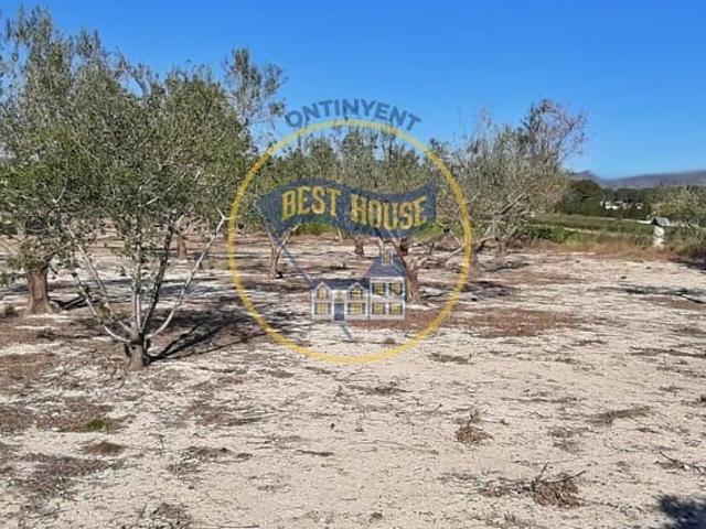 Finca/Casa Rural en venta en Albaida, Valencia