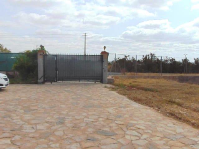Finca/Casa Rural en venta en Albatera, Alicante