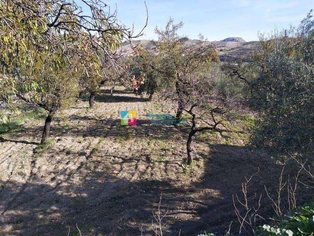 Finca/Casa Rural en venta en Albox, Almería