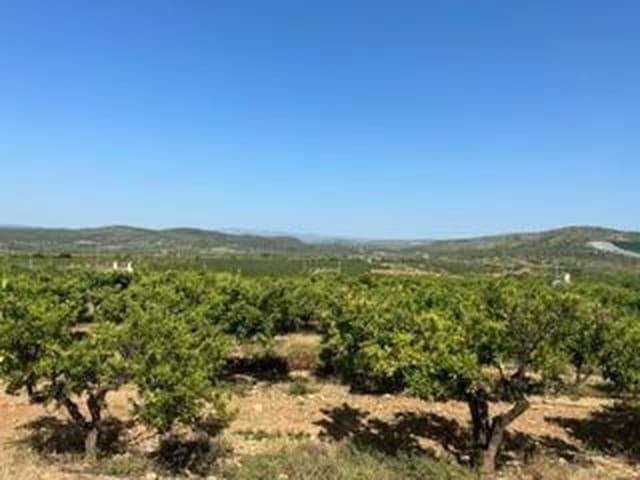 Finca/Casa Rural en venta en Alcalá de Xivert, Castellón Costa Azahar