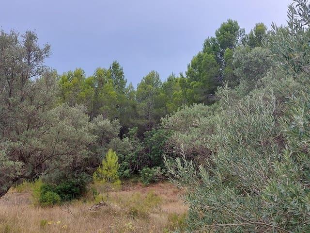 Finca/Casa Rural en venta en Aldover, Tarragona