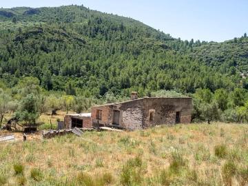 Finca/Casa Rural en venta en Alfara de Carles, Tarragona