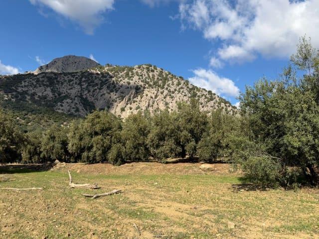 Finca/Casa Rural en venta en Alfarnatejo, Málaga