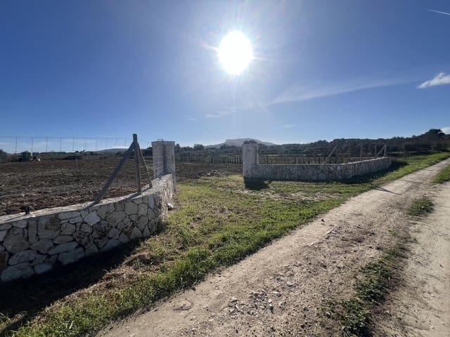 Finca/Casa Rural en venta en Algaida, Mallorca