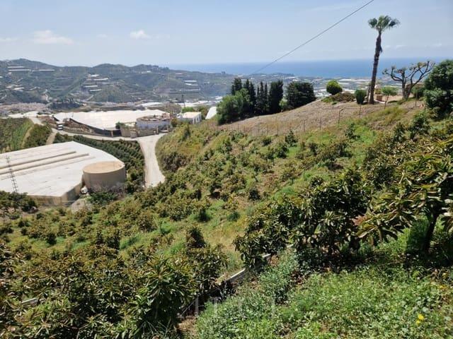 Finca/Casa Rural en venta en Algarrobo, Málaga Costa del Sol