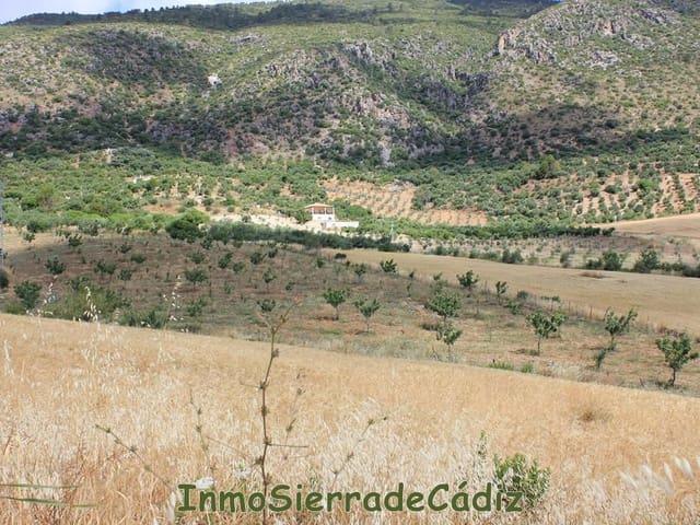 Finca/Casa Rural en venta en Algodonales, Cádiz