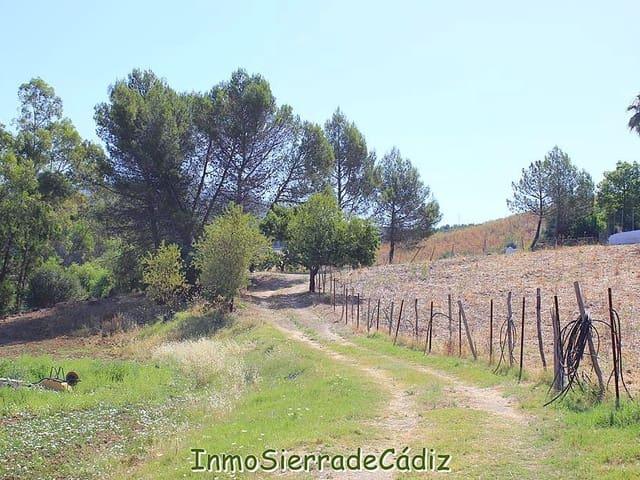 Finca/Casa Rural en venta en Algodonales, Cádiz
