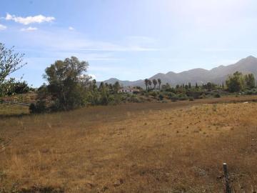Finca/Casa Rural en venta en Alhaurín de la Torre, Málaga Costa del Sol