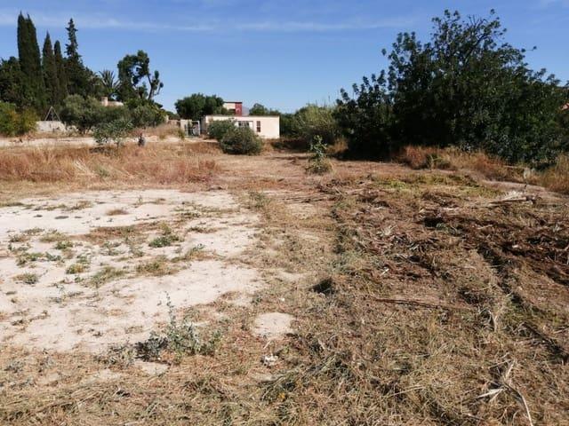 Finca/Casa Rural en venta en Muchamiel / Mutxamel, Alicante Costa Blanca