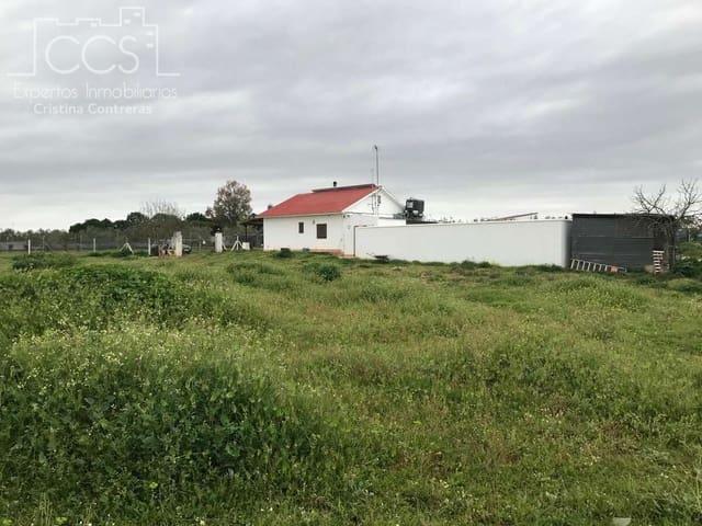 Finca/Casa Rural en venta en Almonte, Huelva