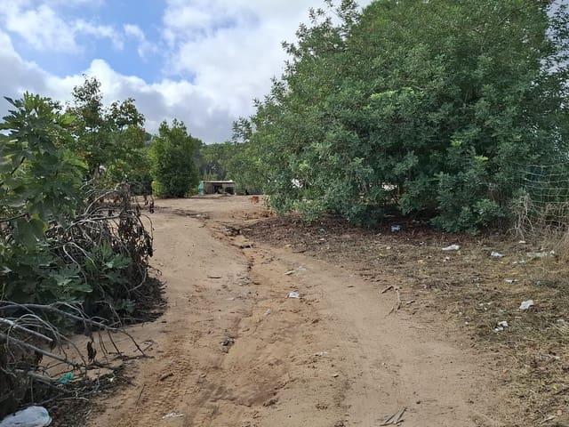 Finca/Casa Rural en venta en Almonte, Huelva